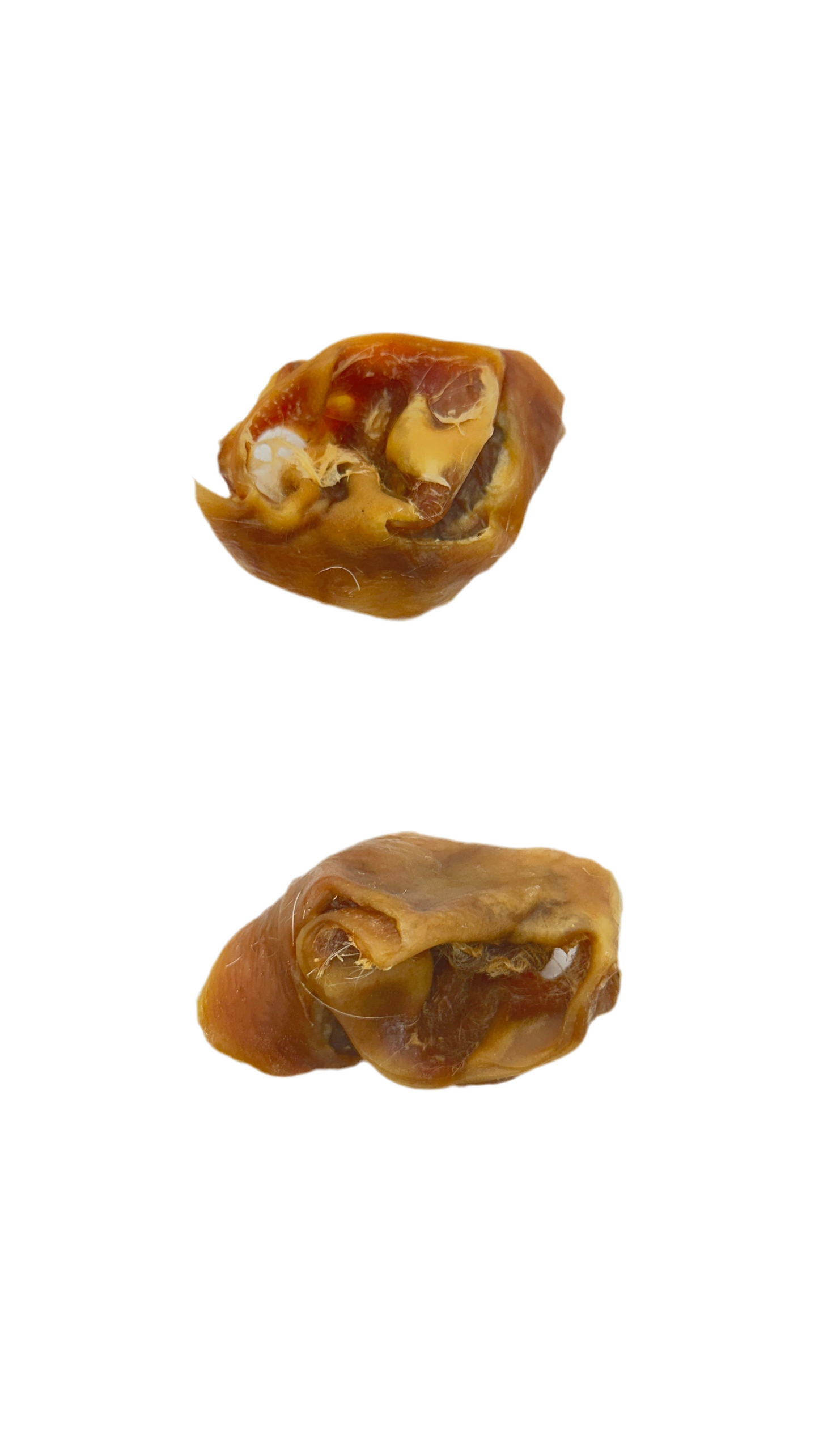 Pig Ear Lobes