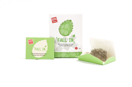 GIGWI Cat Fall In Catnip Bags