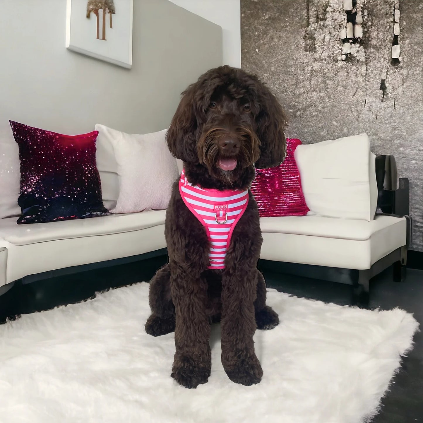 Carnival Stripe - Pink Adjustable Dog Harness