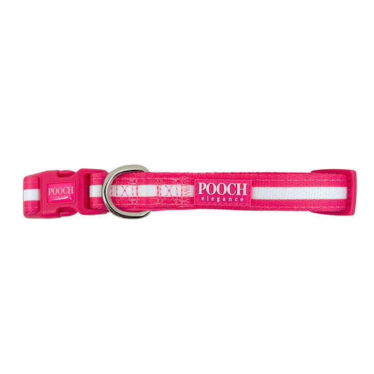 Carnival Stripe - Pink Dog Collar