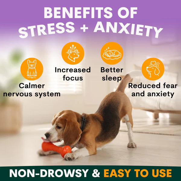 PetzPark - Stress + Anxiety For Dogs