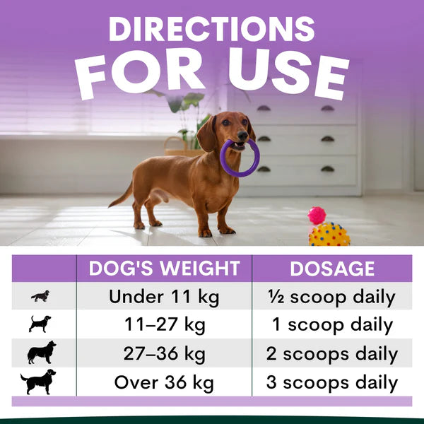 PetzPark - Stress + Anxiety For Dogs
