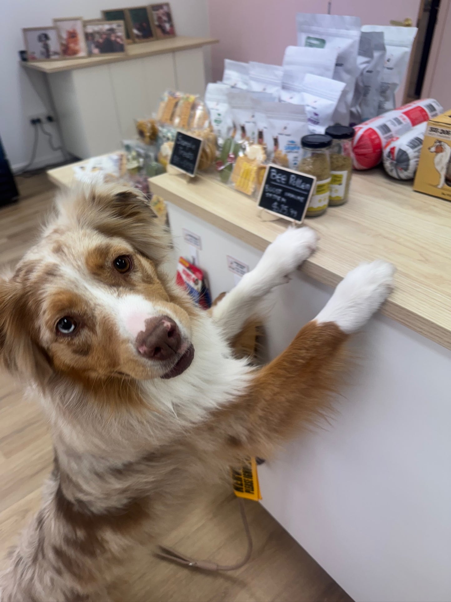 Private Shopping Session