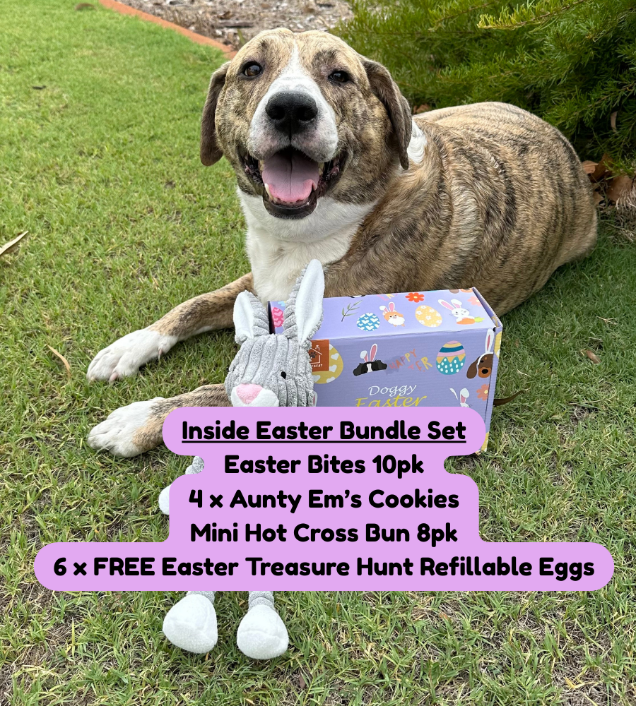 Easter Bundle Set (Without Bunny treats) - with Easter Hunt Sets
