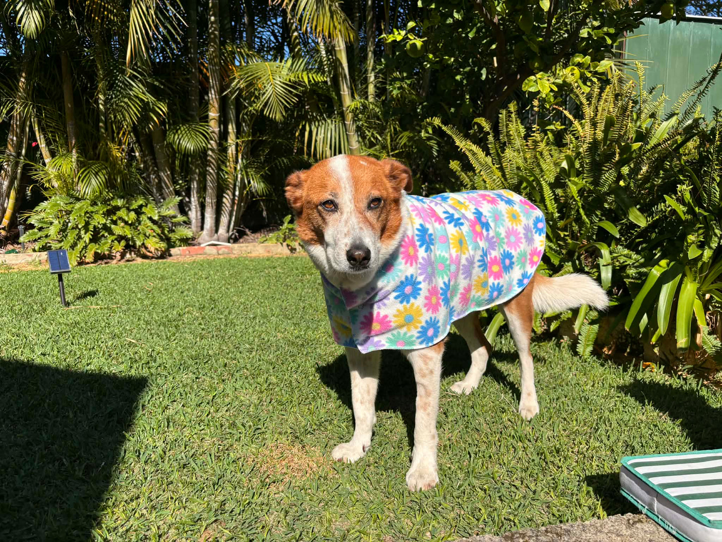 Reversible Fleece Coat By Loz