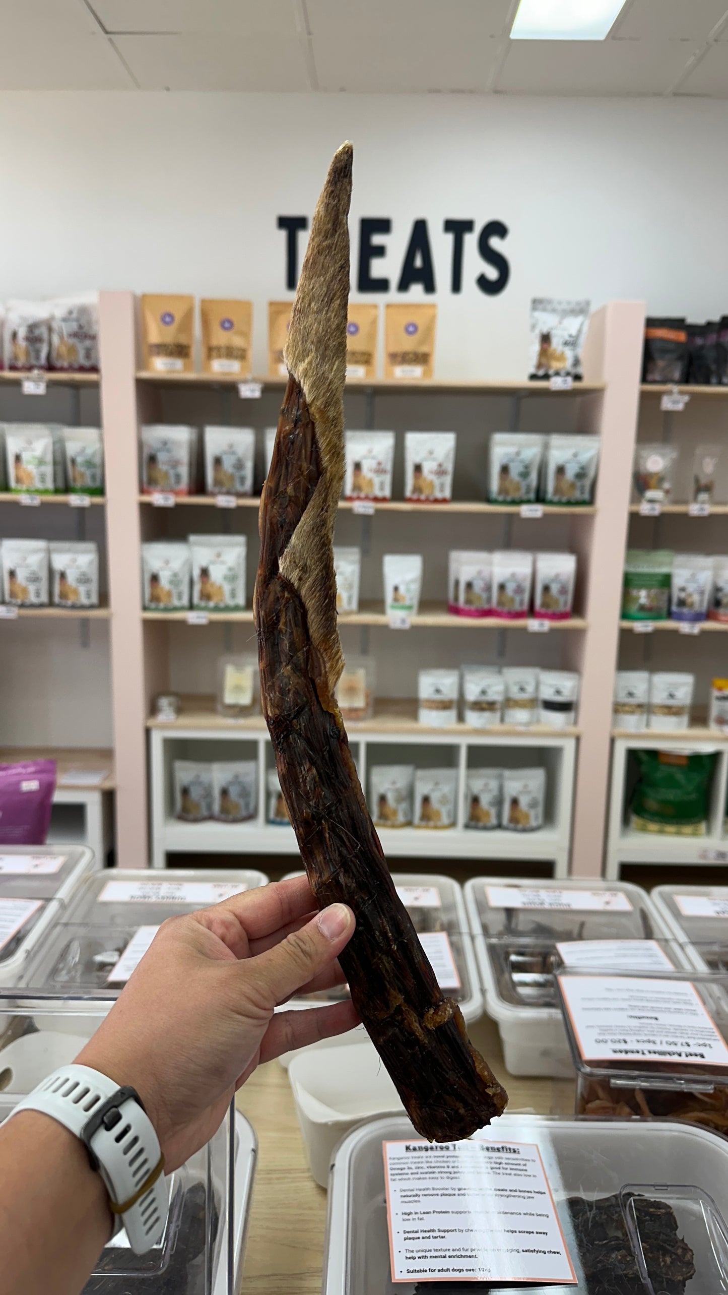 Kangaroo Tail (~45cm)