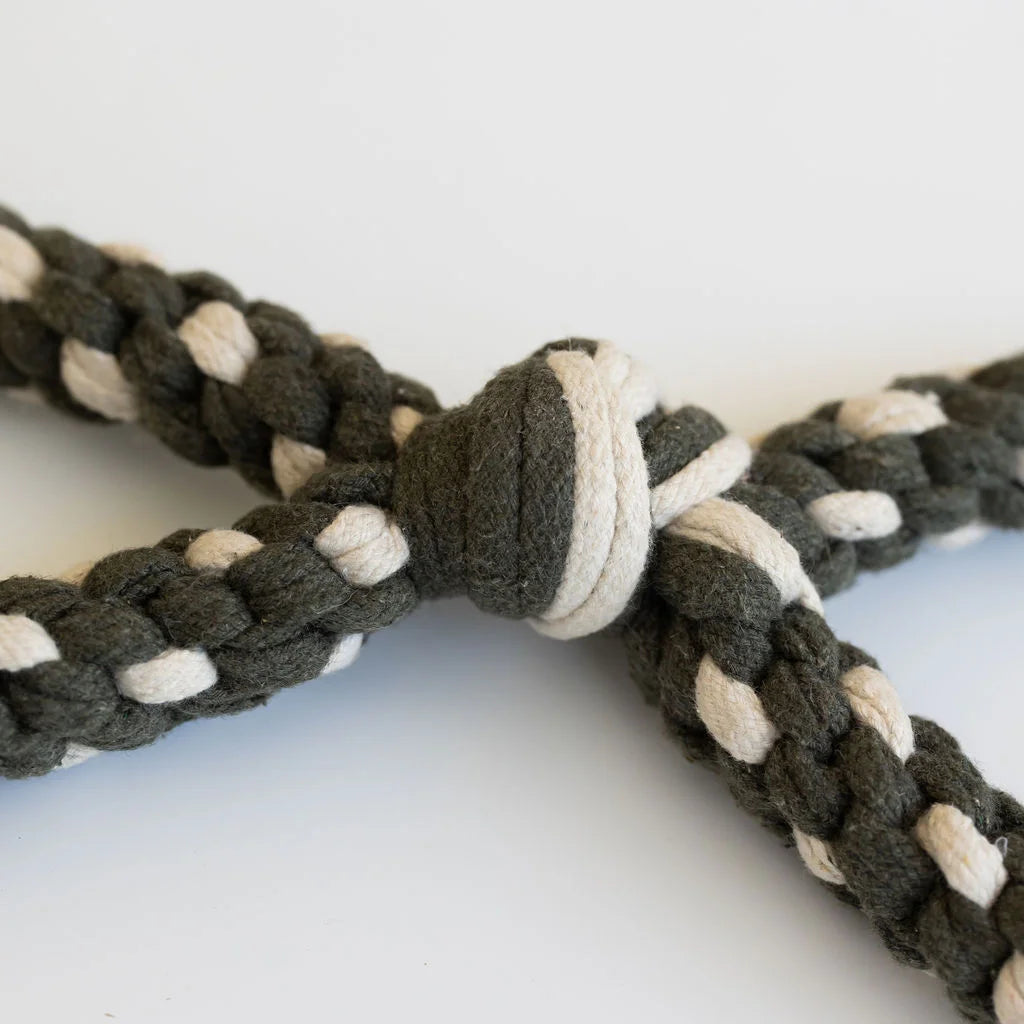 Conscious Pet Co 'Lots O Knots'