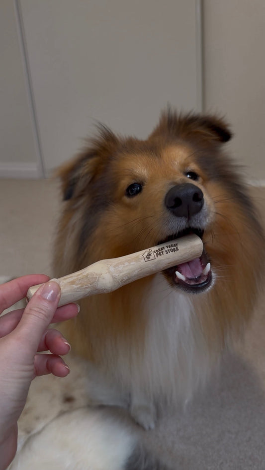 Coffee Wood Chew Toy