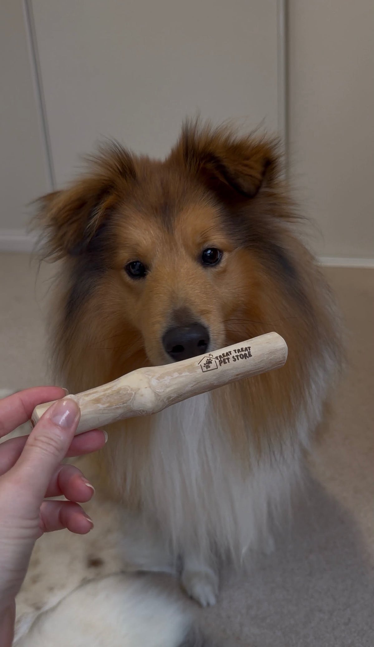 Coffee Wood Chew Toy