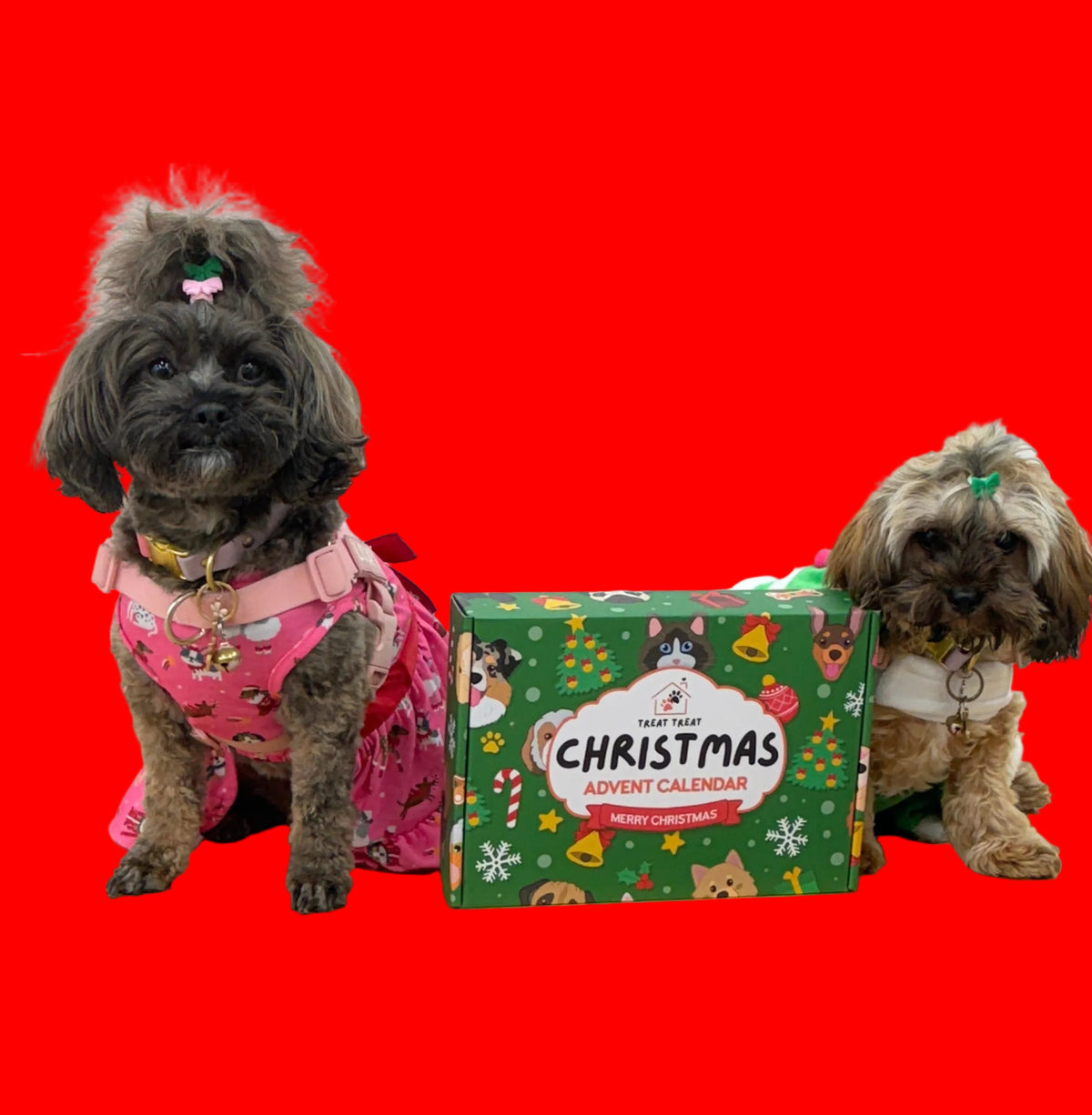 Pre Order - Doggy Christmas Advent Calendar