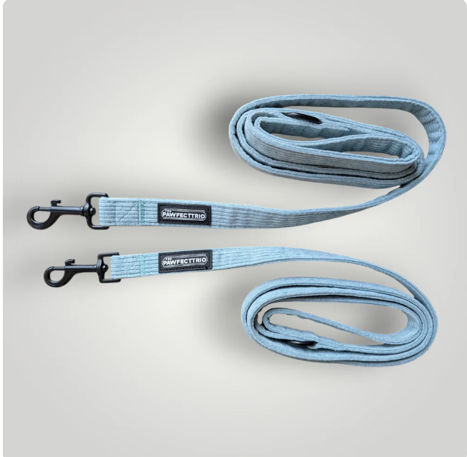 The Pawfect Trio - Candy Corduroy Dog Leash