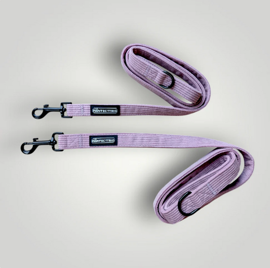 The Pawfect Trio - Candy Corduroy Dog Leash