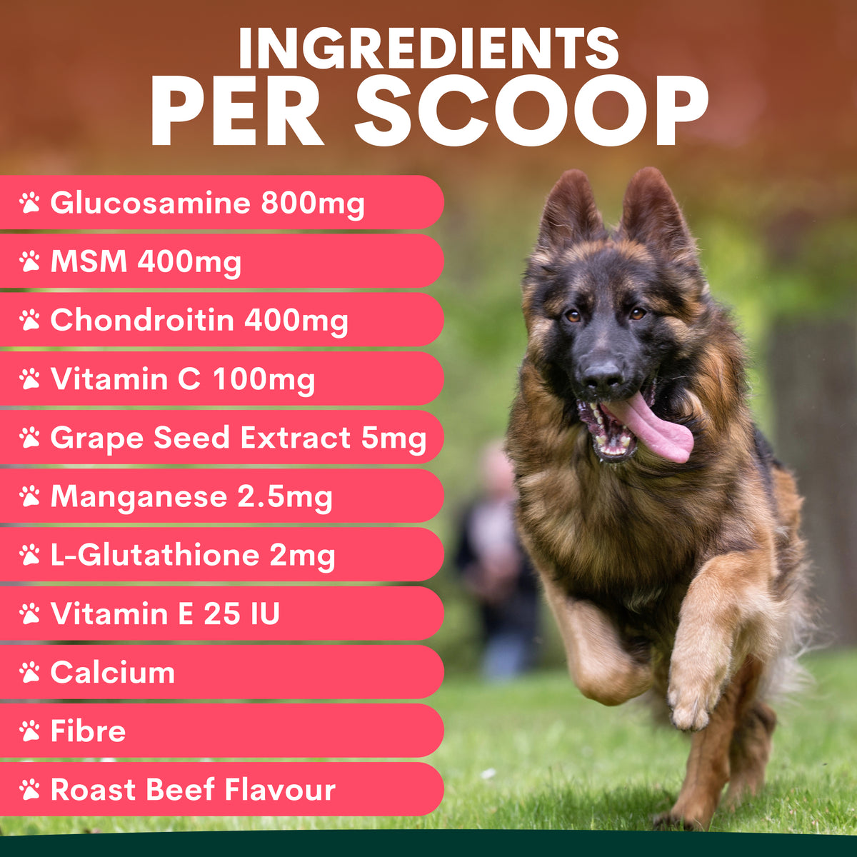 PetzPark - Hip + Joint Supplement For Dogs