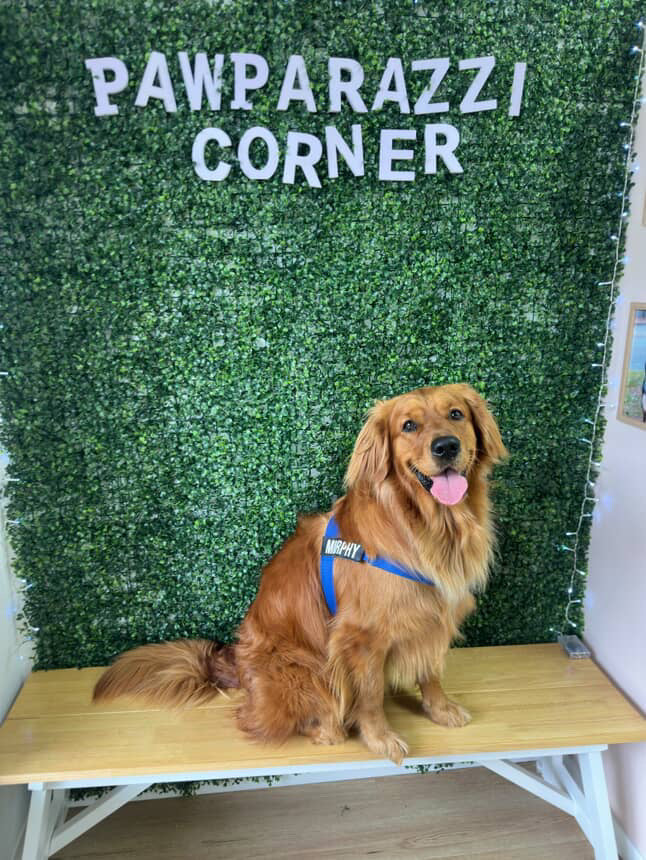 Private Shopping Session