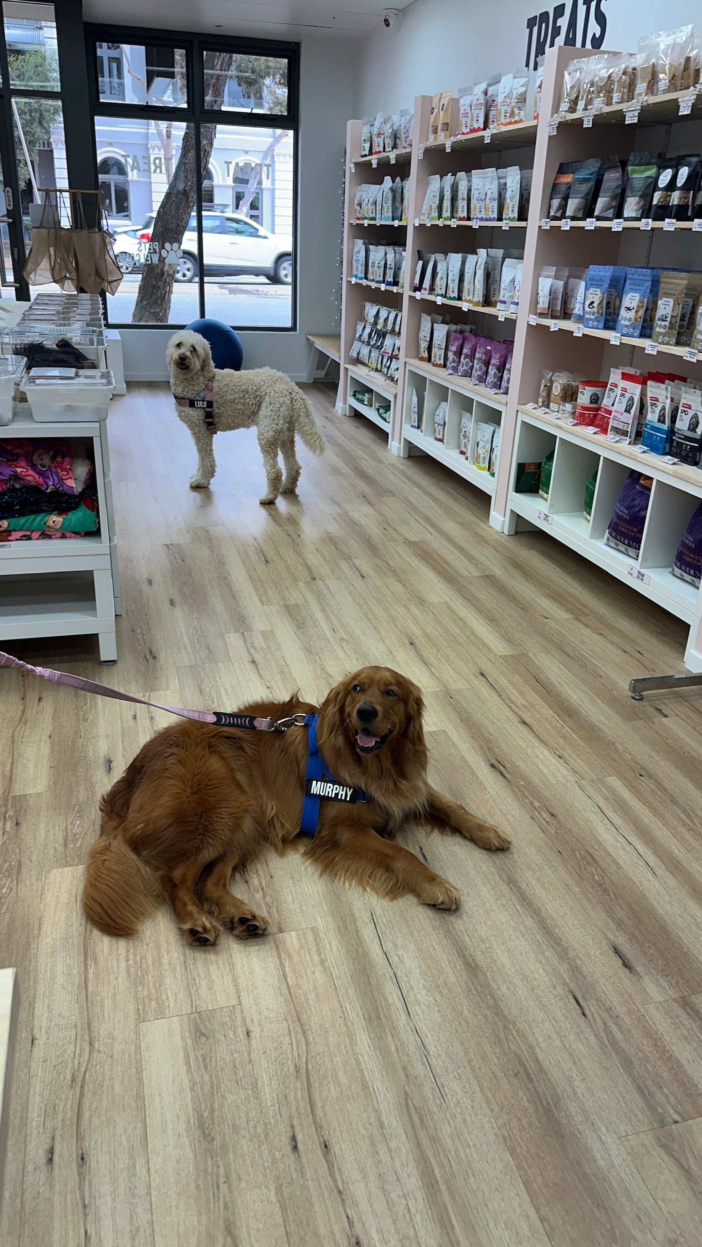 Private Shopping Session