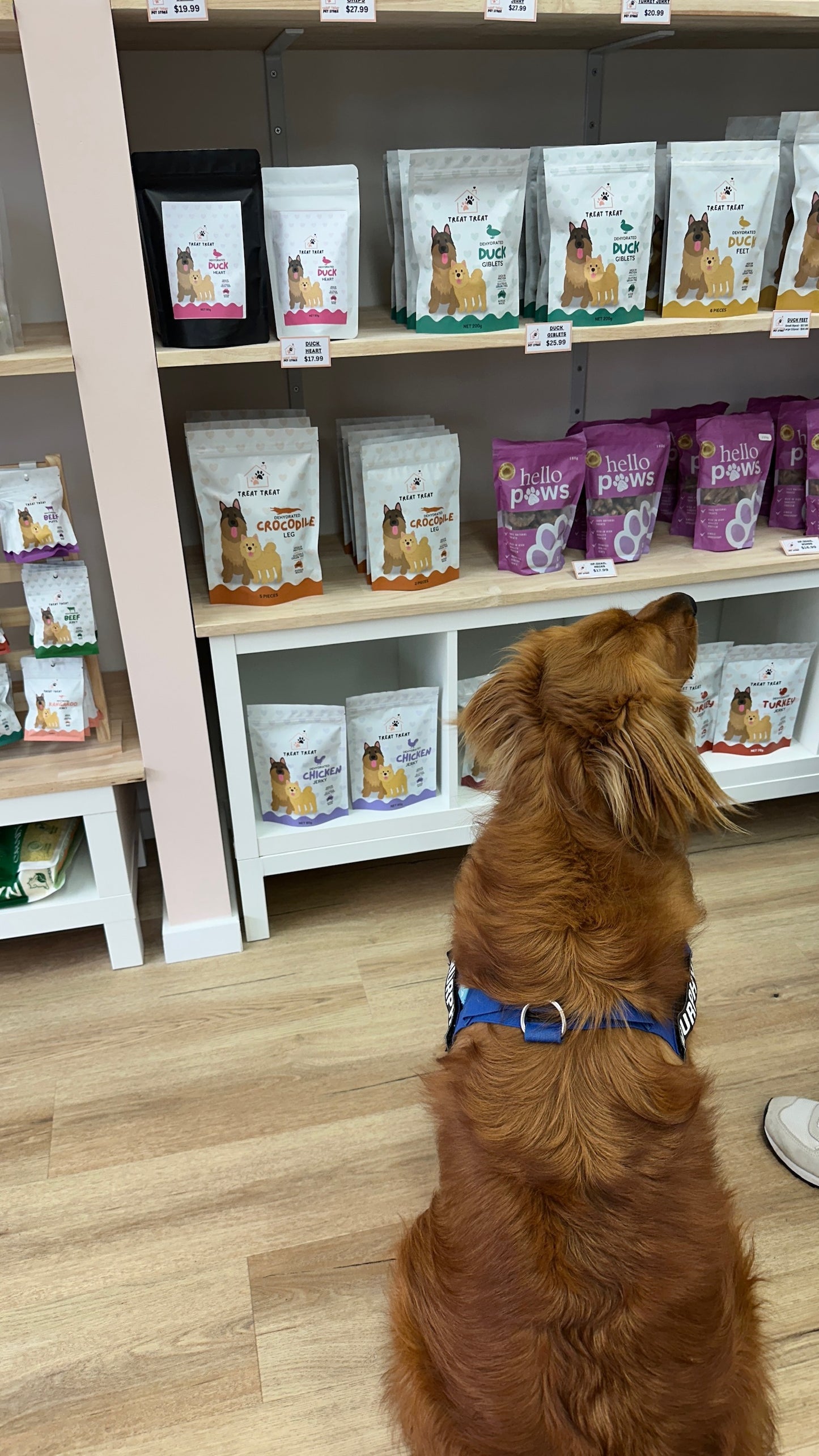 Private Shopping Session