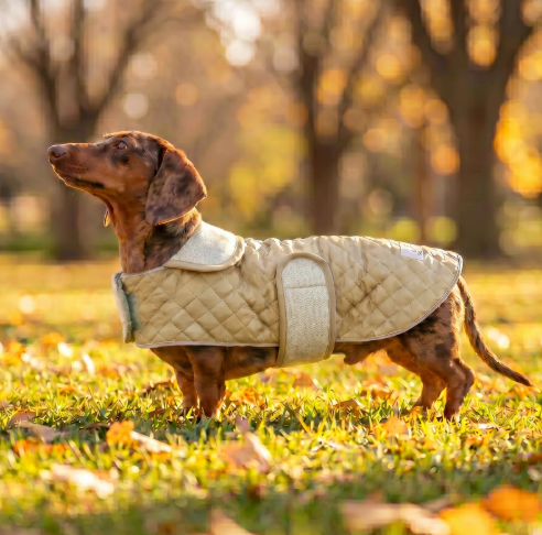 Quilted Fleece Jacket