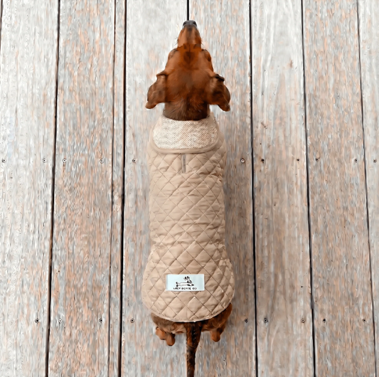 Quilted Fleece Jacket