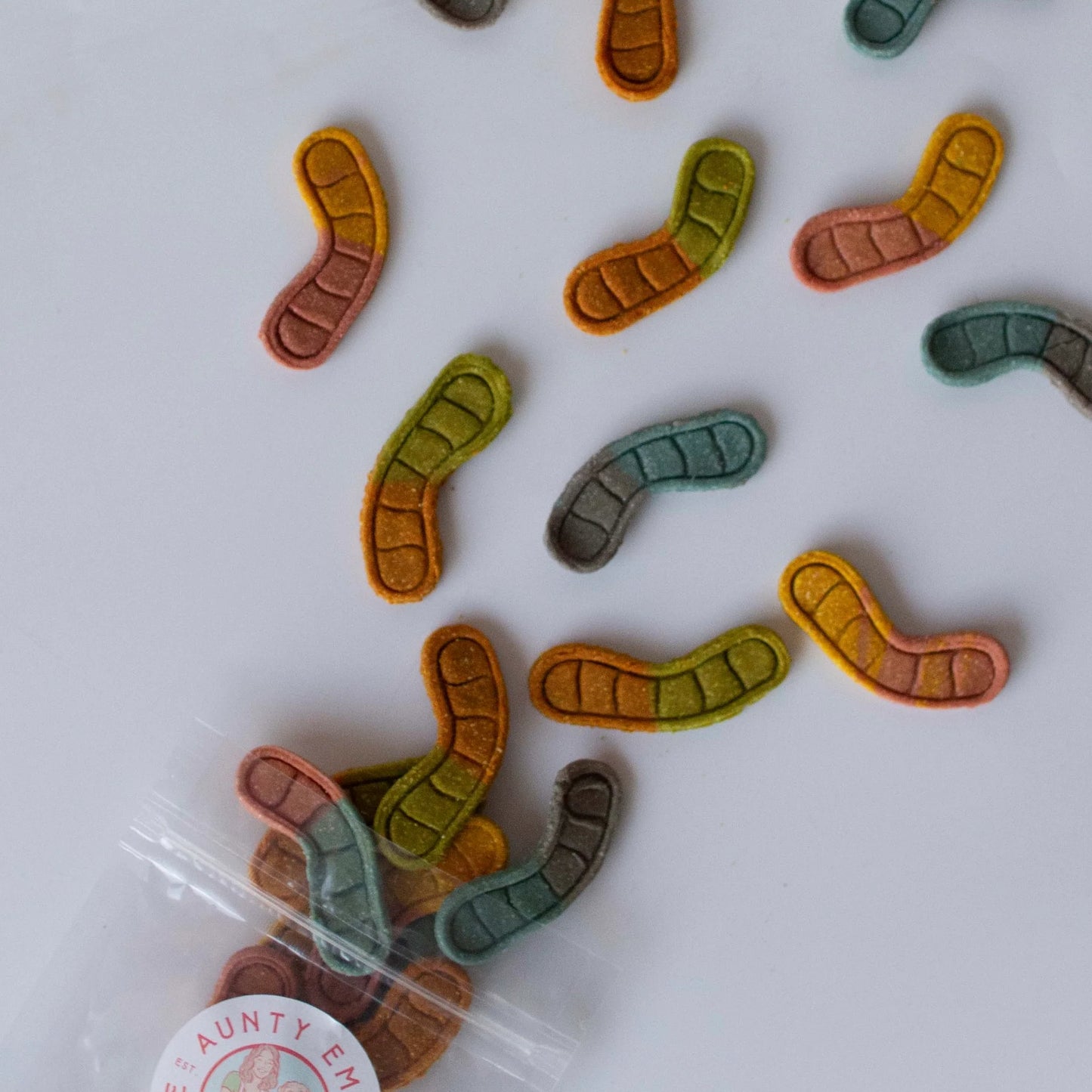 Rainbow Worms 12pk