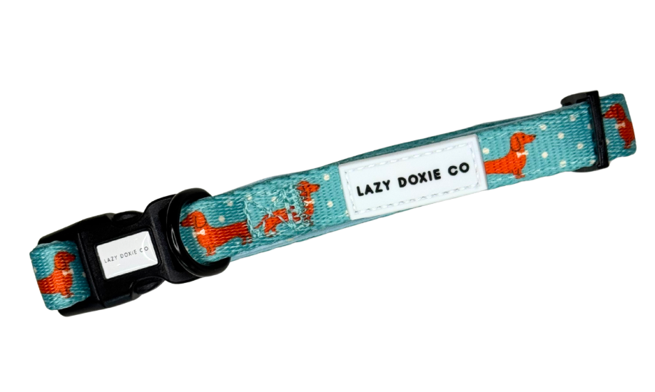 Collar - Tuxie Doxie