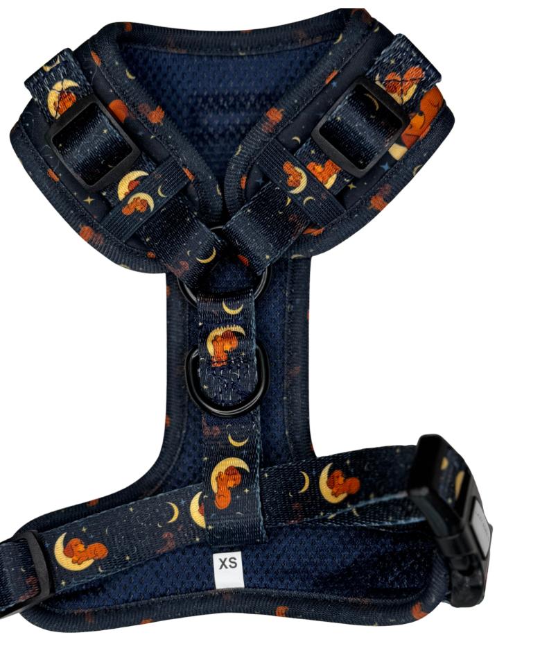 Harness - Dastrology