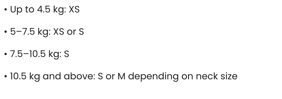 Collar - Dacchuchino