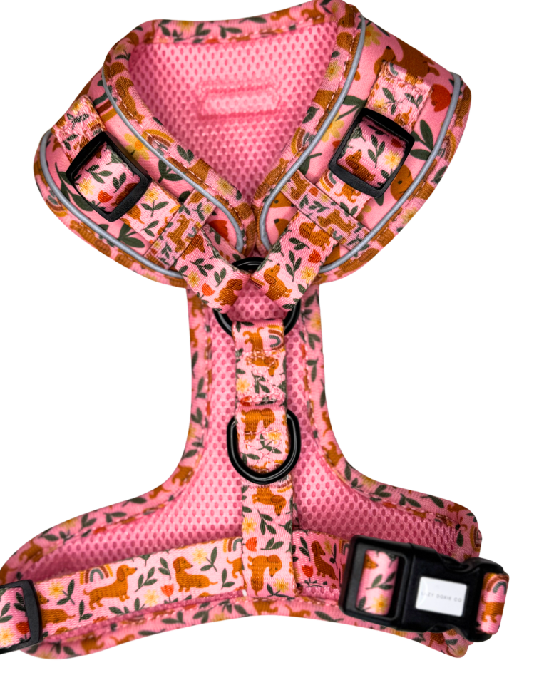 Harness - Pawdise Garden