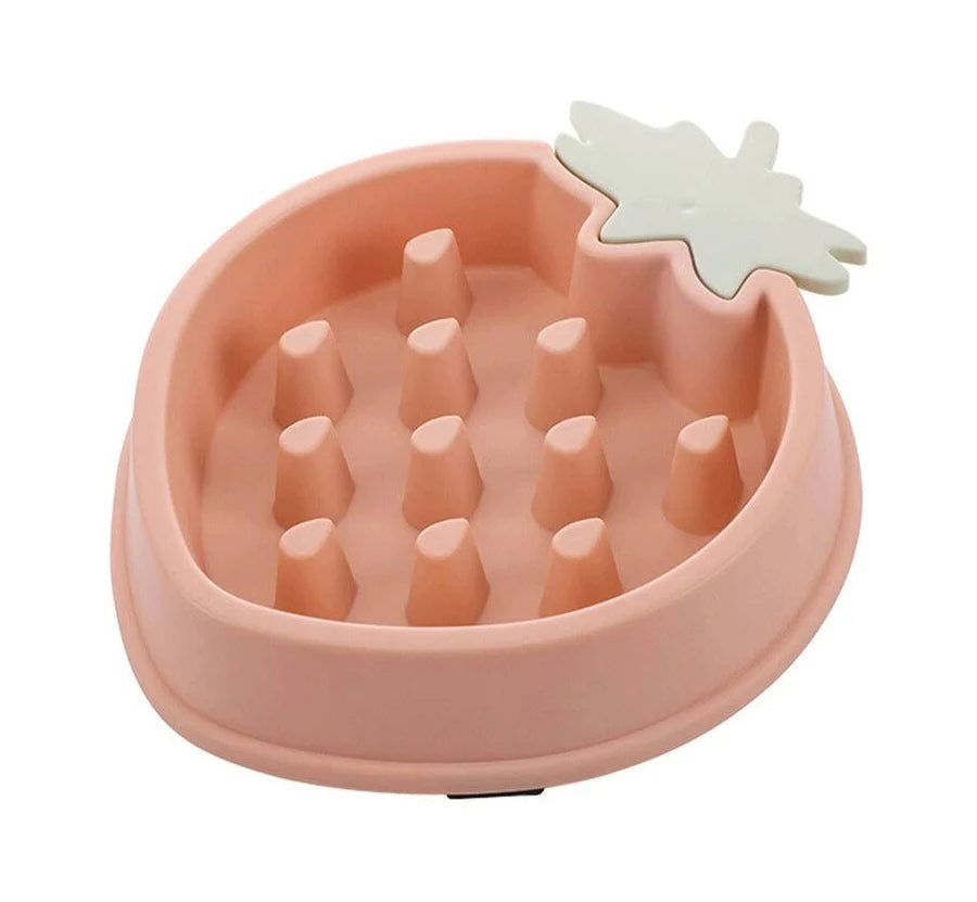 Pineapple/Strawberry Slow Feeder