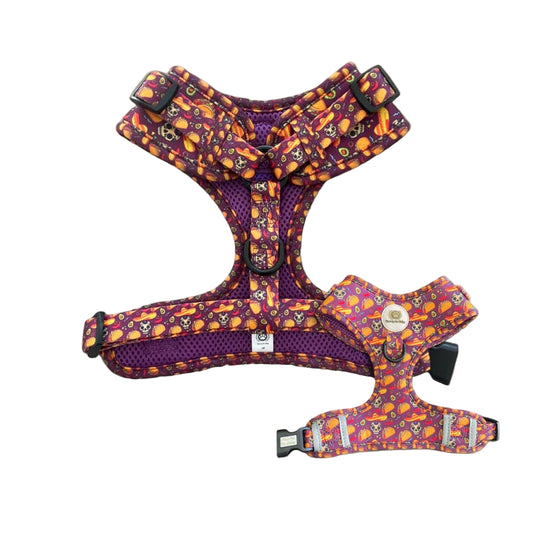 Taco Fiesta Adjustable Harness