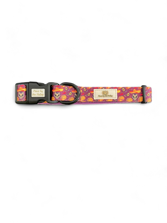 Taco Fiesta Collar
