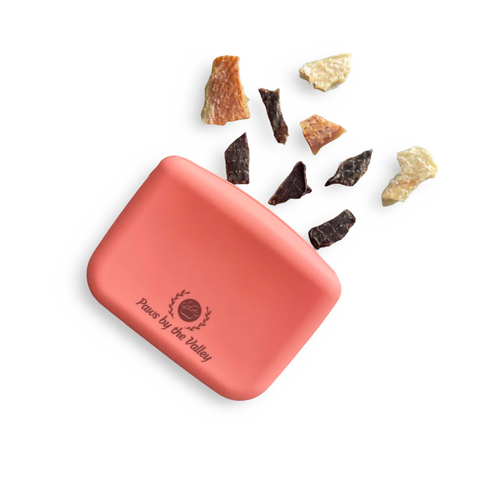 Silicone Training Pouch