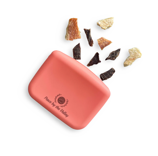 Silicone Training Pouch