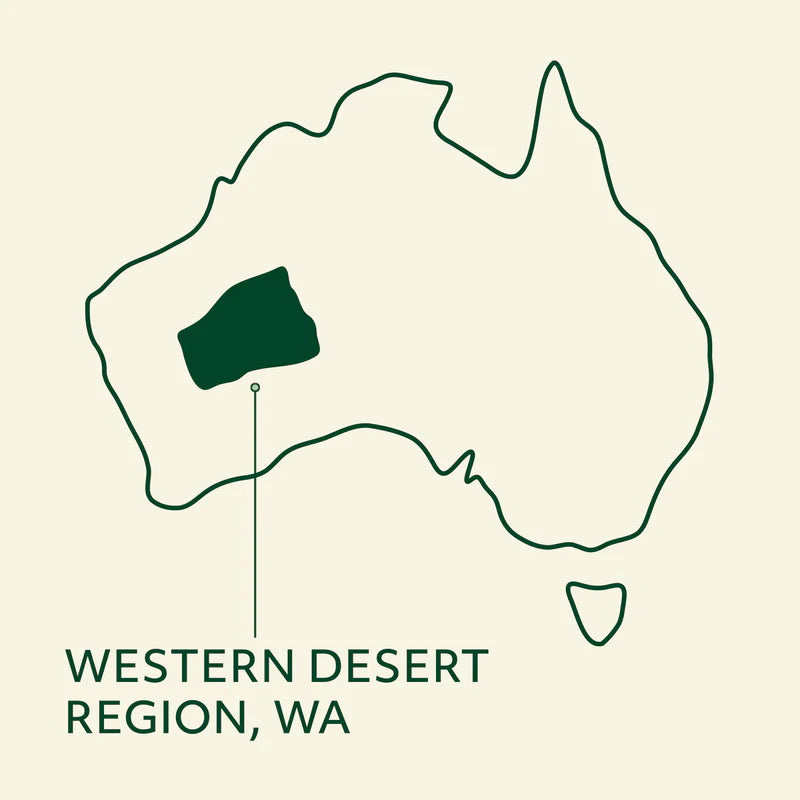 Western Desert Camel Jerky