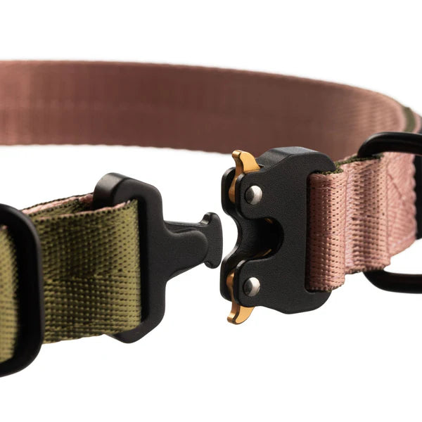 WAGD Dog Collar