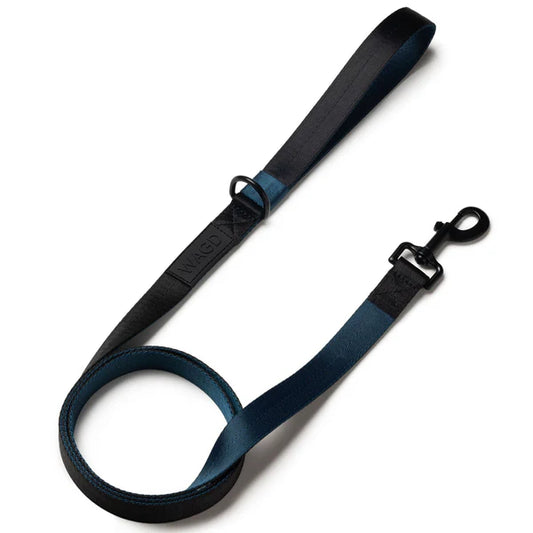 Signature Dog Lead