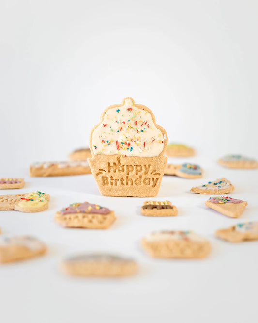 Happy Birthday Cupcake - Single (Random Colour Icing)