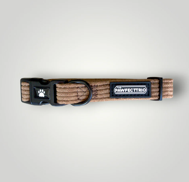 The Pawfect Trio - Candy Corduroy Dog Collar Rust