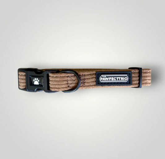 The Pawfect Trio - Candy Corduroy Dog Collar Rust