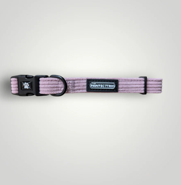 The Pawfect Trio - Candy Corduroy Dog Collar Fairy Floss