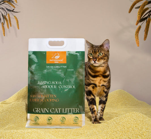 Grain Cat Litter 4kg