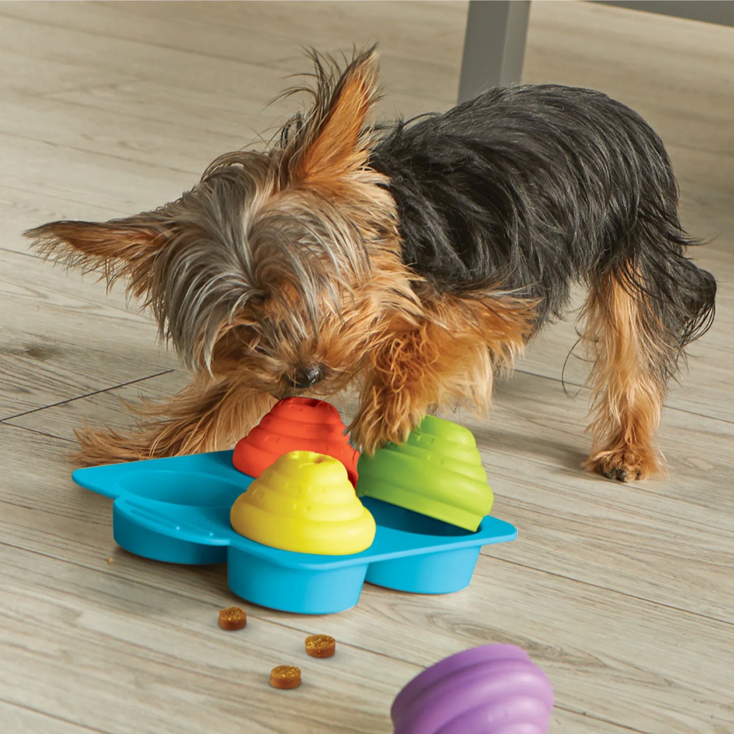 Brightkins Cupcake Party Interactive Puzzle