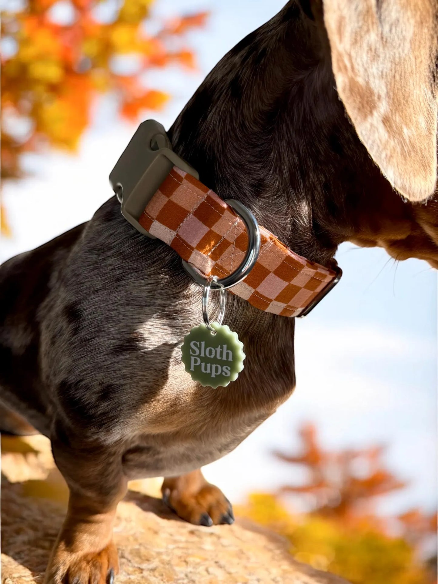 EARTHY CHECKBOARD (PLASTIC BUCKLE)