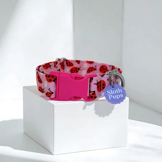 DAISIES AND LOVE BUGS (PLASTIC BUCKLE)