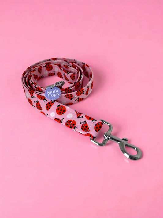 DAISIES AND LOVE BUGS LEAD