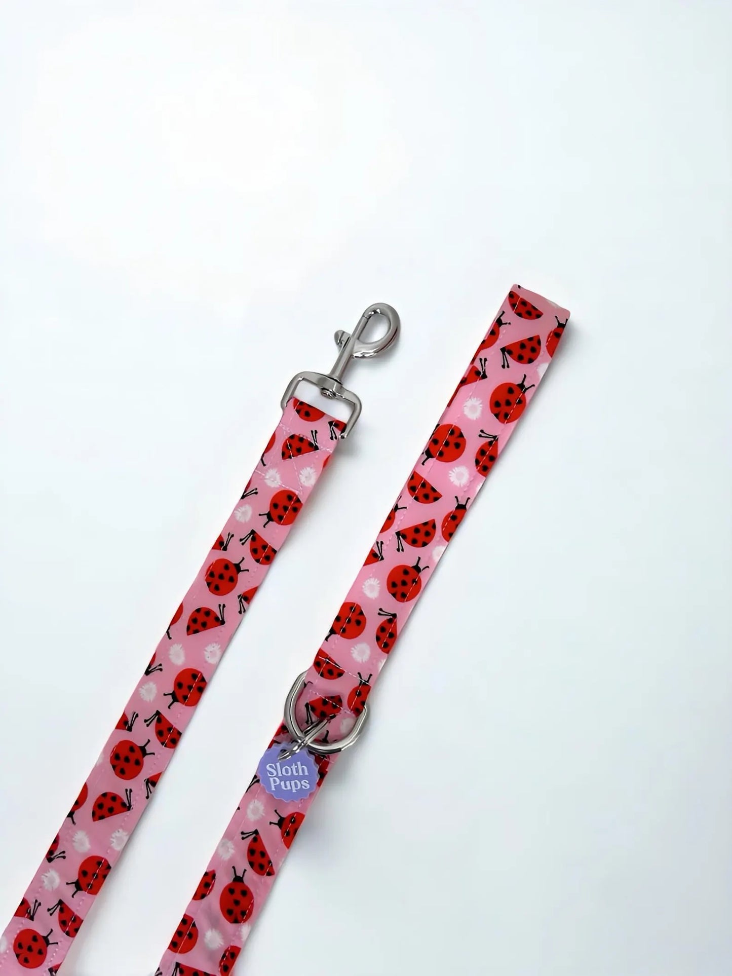 DAISIES AND LOVE BUGS LEAD