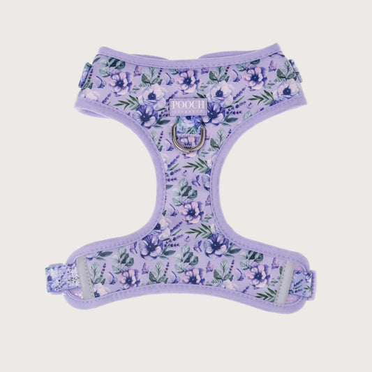 Lavender Lane Adjustable Dog Harness