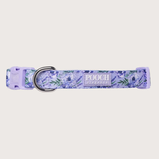 Lavender Lane Dog Collar