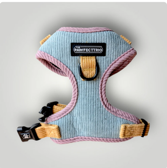 The Pawfect Trio - Candy Corduroy Dog Harness