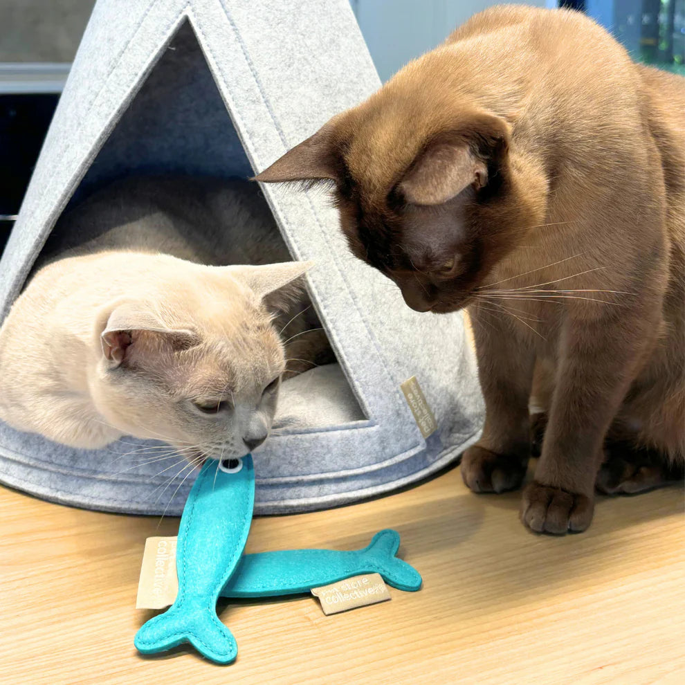 Catnip Fish Toys