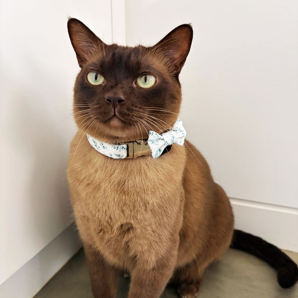 Gum Leaves Cat Bow Tie